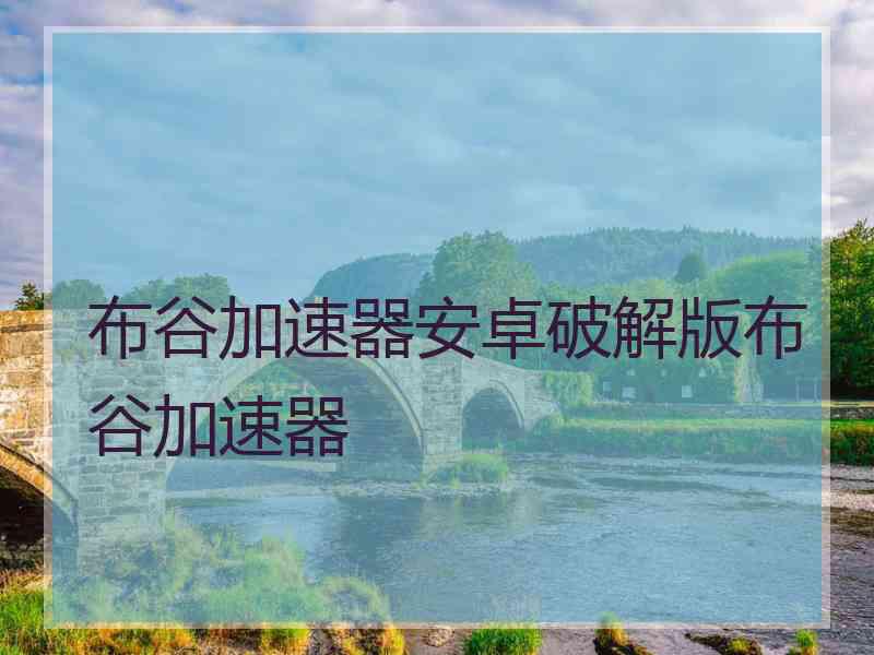 布谷加速器安卓破解版布谷加速器