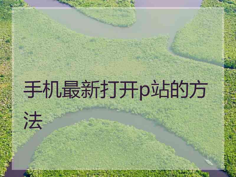 手机最新打开p站的方法