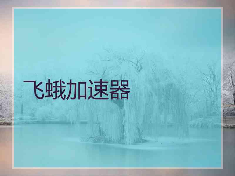 飞蛾加速器