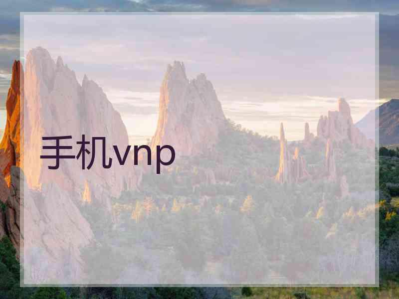 手机vnp