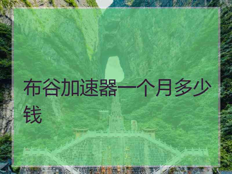 布谷加速器一个月多少钱