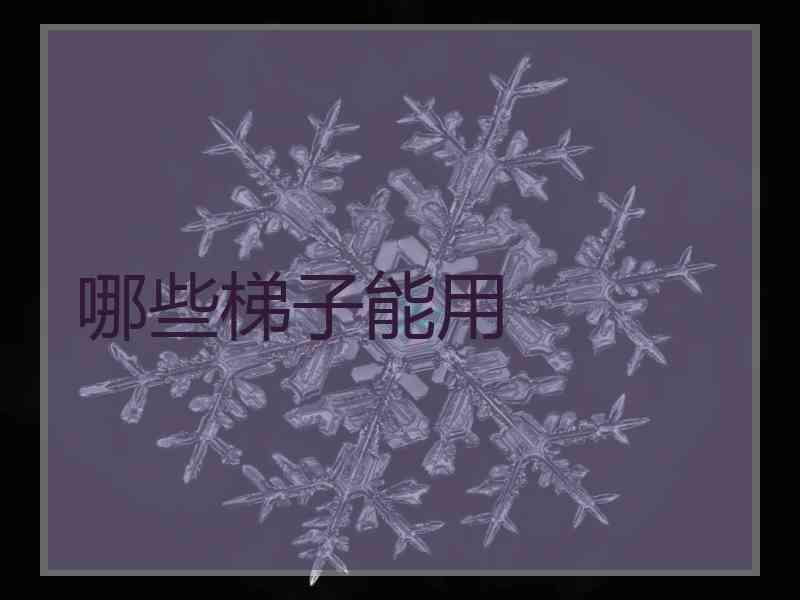 哪些梯子能用
