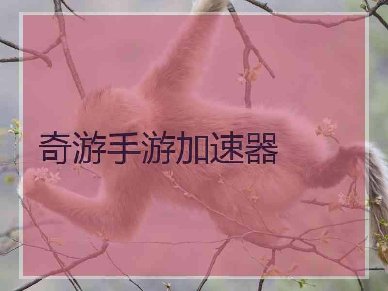 奇游手游加速器