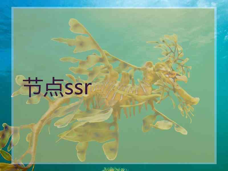 节点ssr