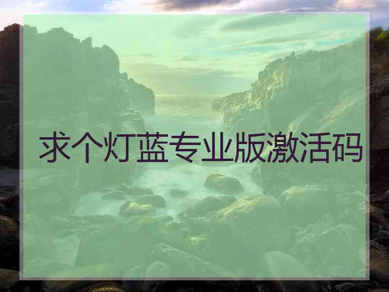 求个灯蓝专业版激活码