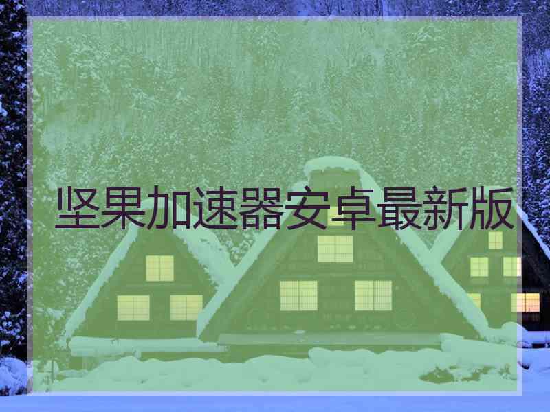 坚果加速器安卓最新版