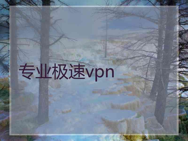 专业极速vpn