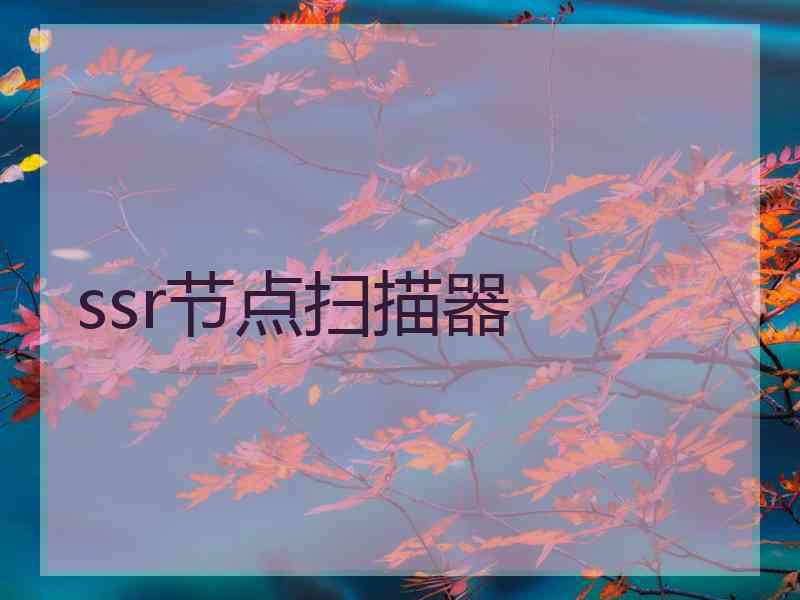 ssr节点扫描器