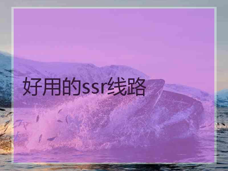 好用的ssr线路