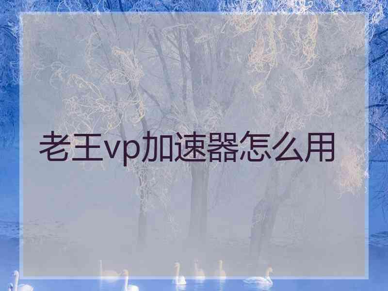老王vp加速器怎么用