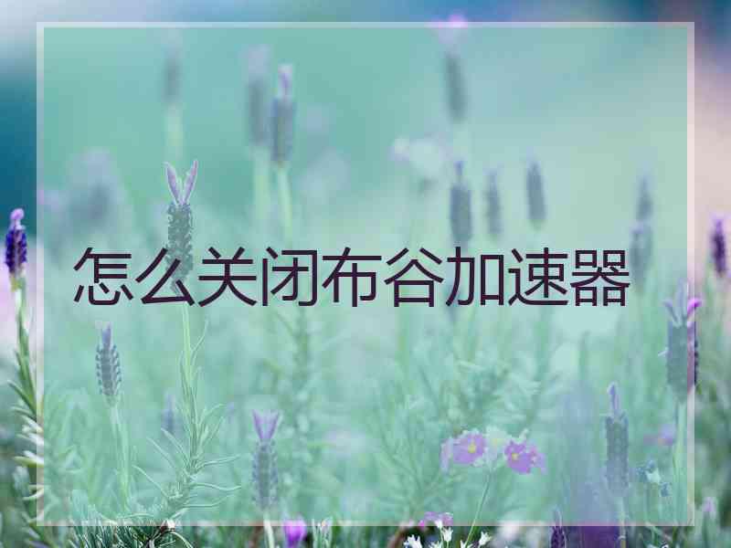 怎么关闭布谷加速器