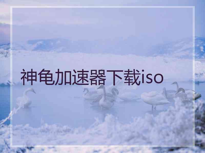 神龟加速器下载iso