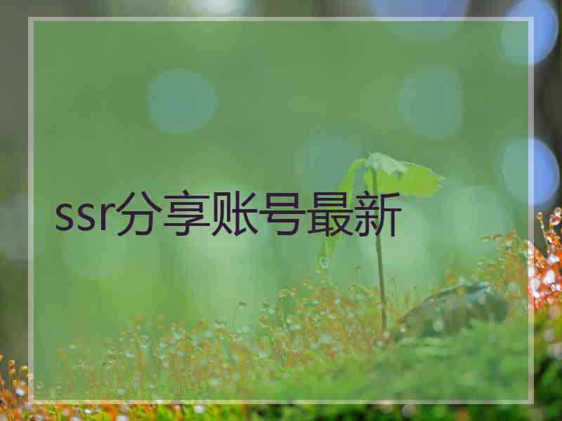 ssr分享账号最新