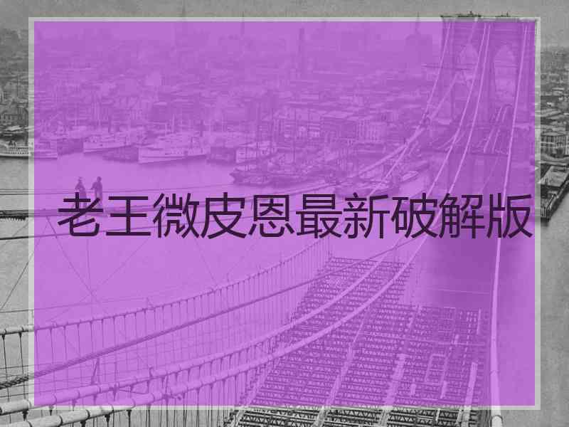 老王微皮恩最新破解版