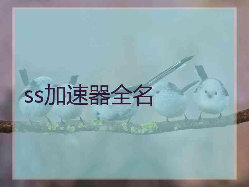 ss加速器全名
