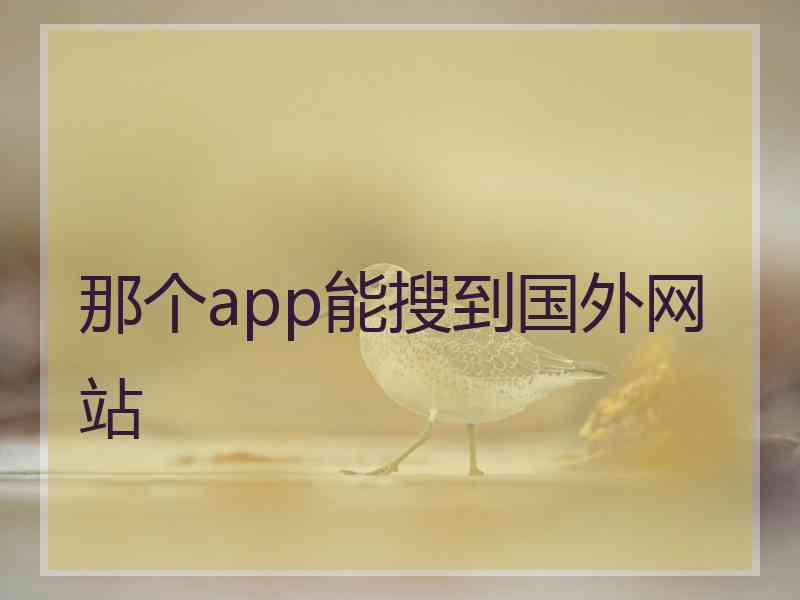 那个app能搜到国外网站