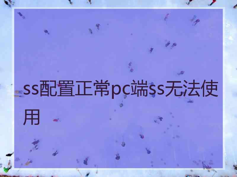 ss配置正常pc端ss无法使用