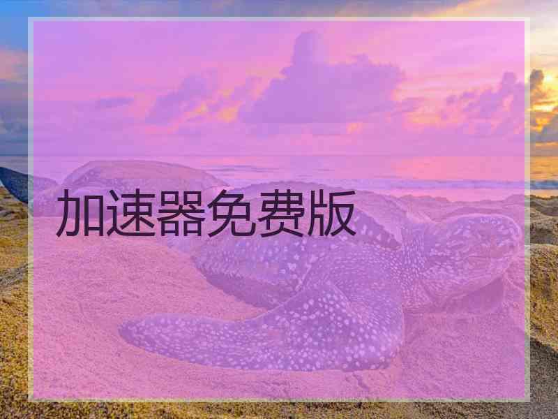 加速器免费版