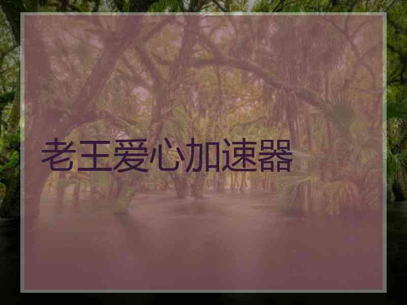 老王爱心加速器