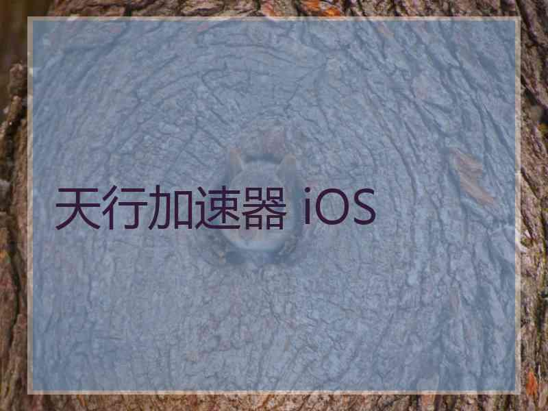 天行加速器 iOS