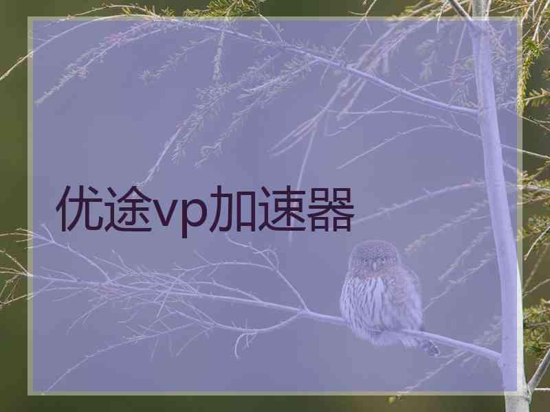 优途vp加速器