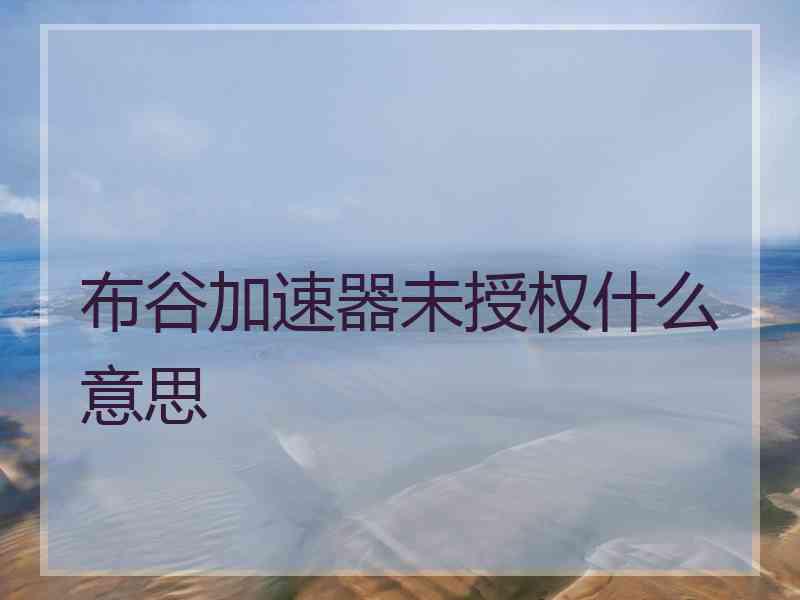 布谷加速器未授权什么意思