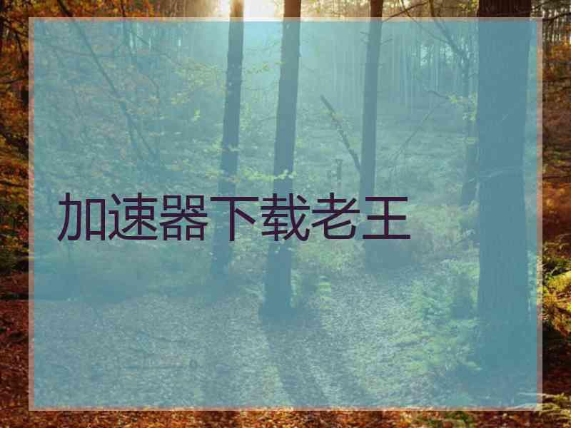 加速器下载老王