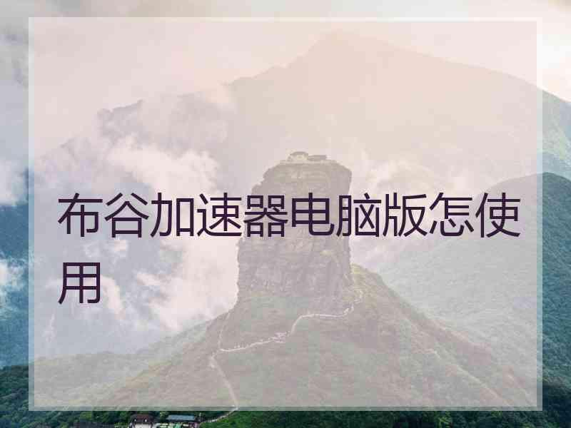 布谷加速器电脑版怎使用