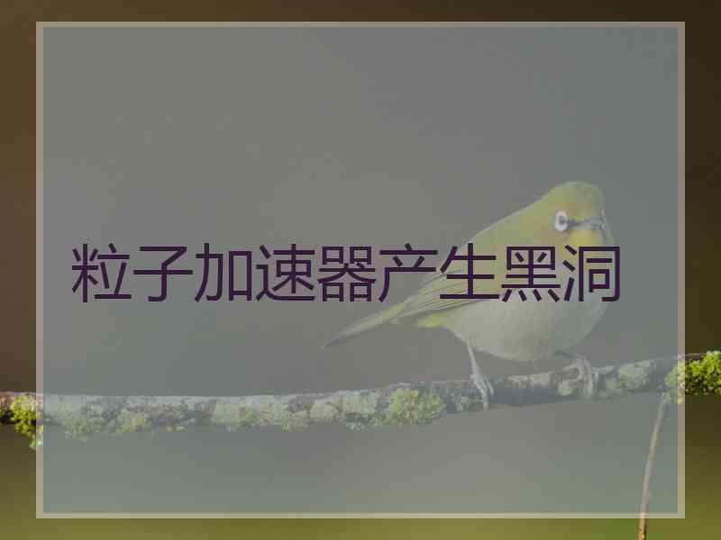粒子加速器产生黑洞