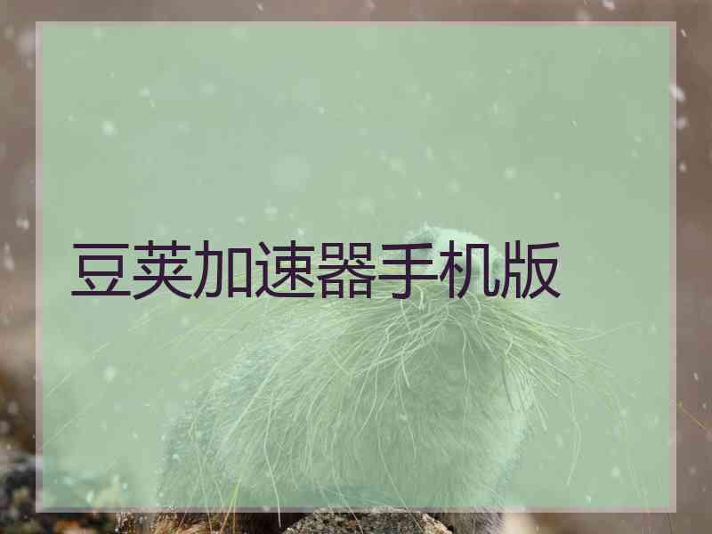 豆荚加速器手机版
