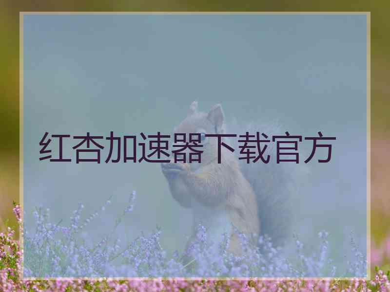 红杏加速器下载官方