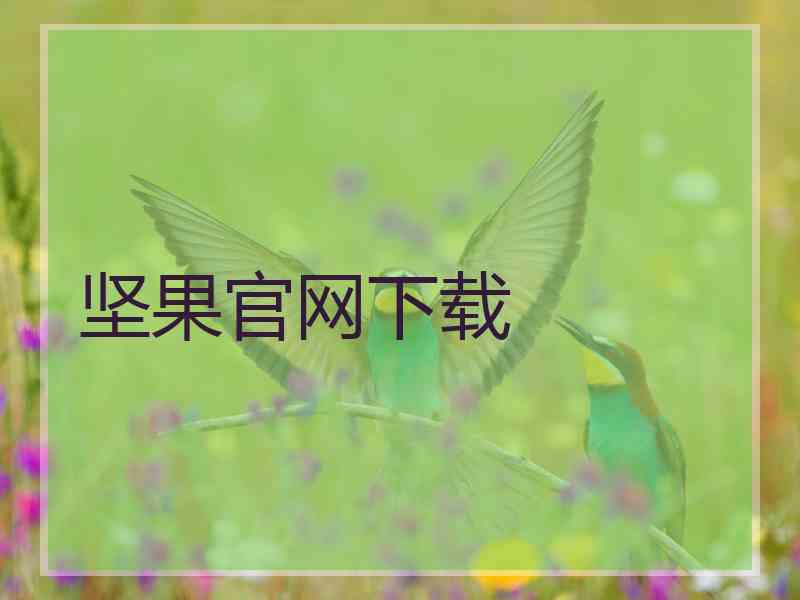 坚果官网下载
