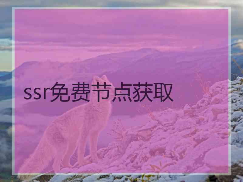 ssr免费节点获取