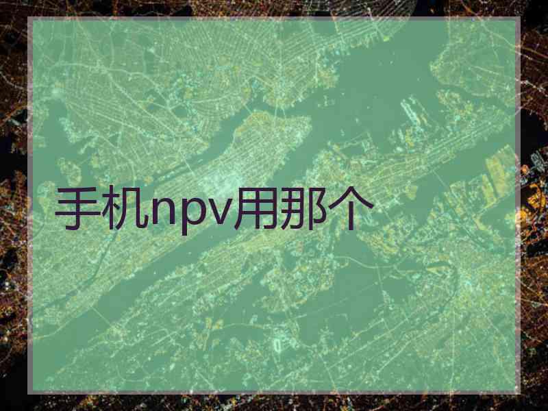 手机npv用那个