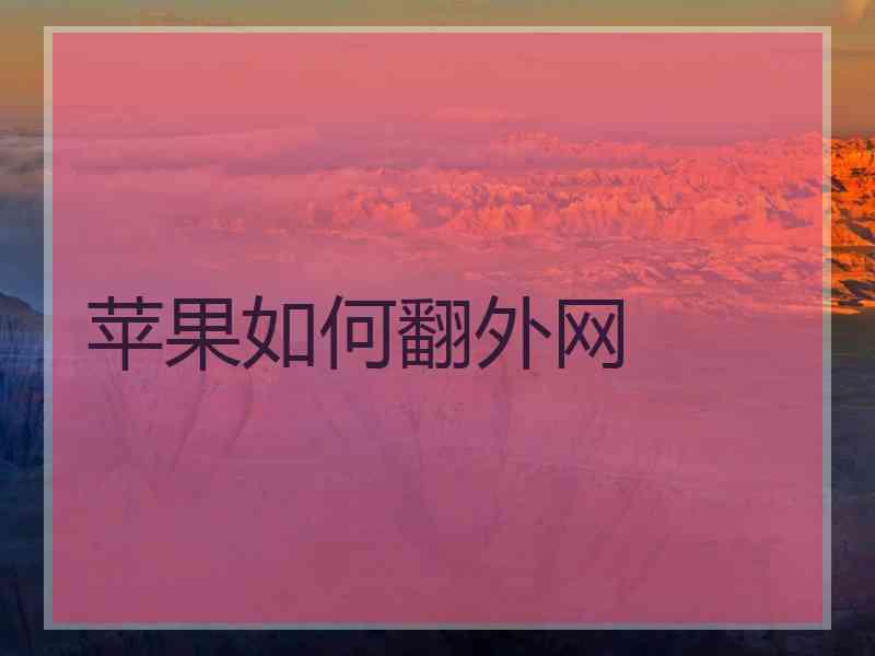 苹果如何翻外网