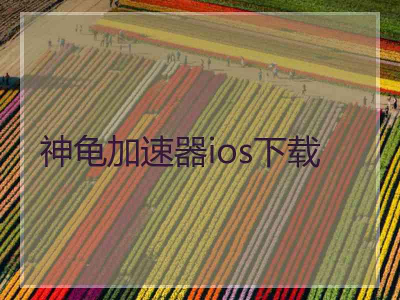 神龟加速器ios下载