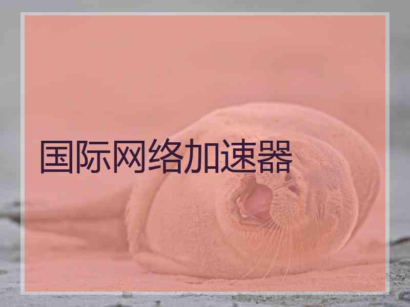 国际网络加速器