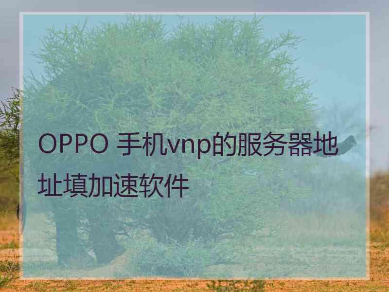 OPPO 手机vnp的服务器地址填加速软件