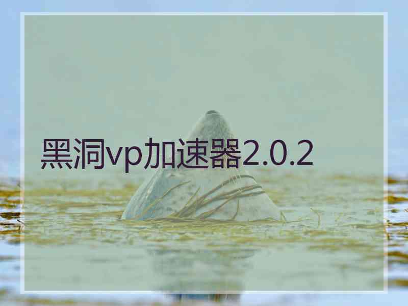 黑洞vp加速器2.0.2