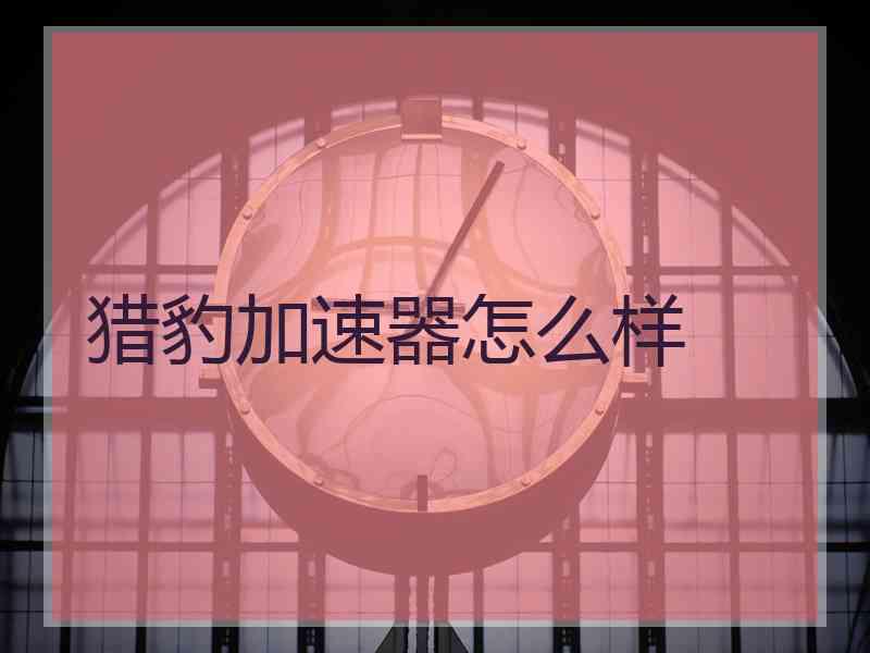 猎豹加速器怎么样