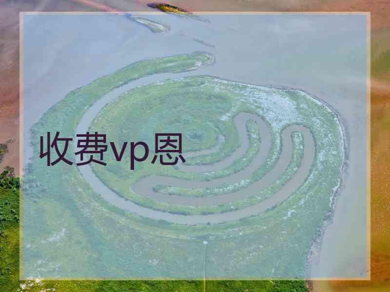 收费vp恩