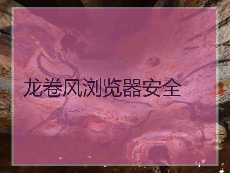 龙卷风浏览器安全