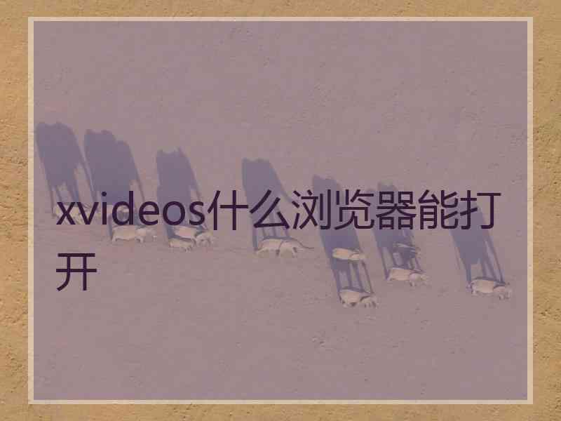 xvideos什么浏览器能打开