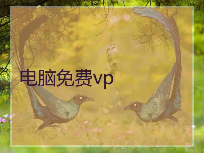 电脑免费vp