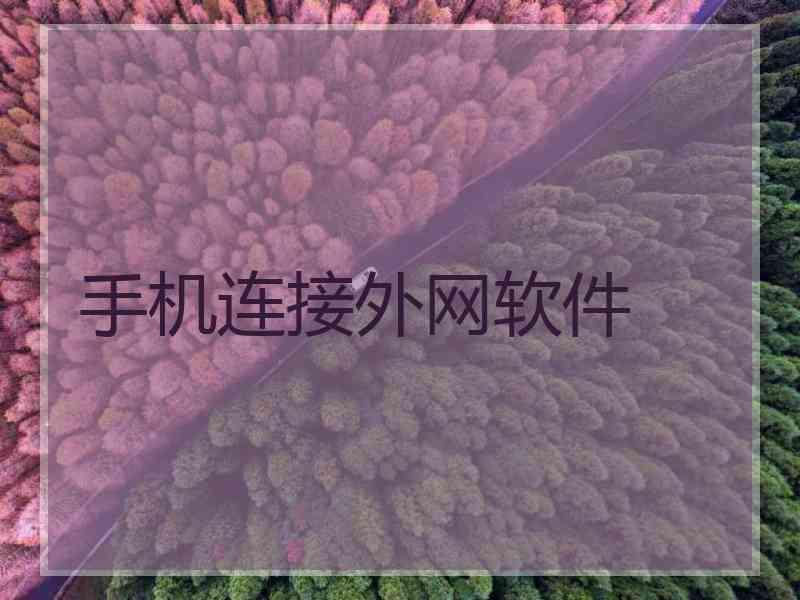手机连接外网软件
