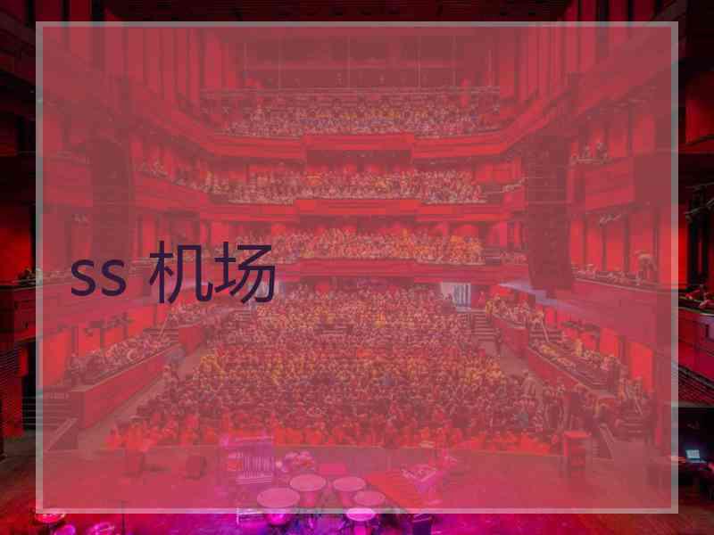 ss 机场
