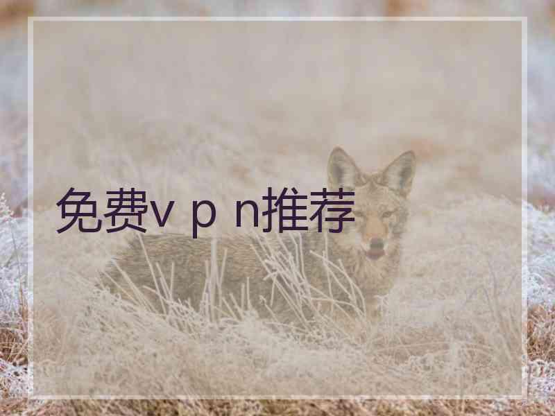 免费v p n推荐