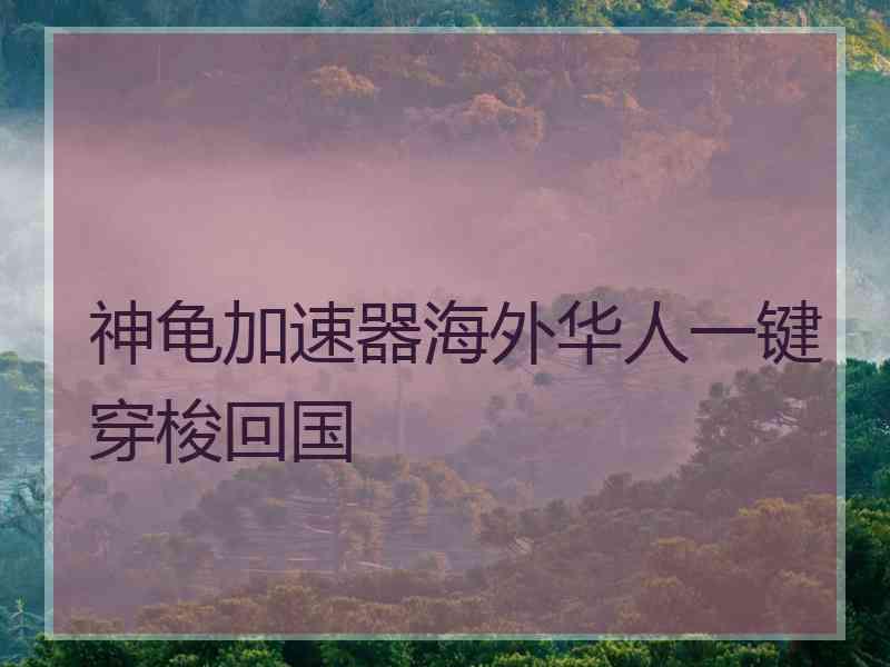 神龟加速器海外华人一键穿梭回国