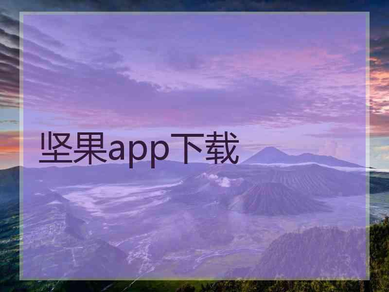 坚果app下载