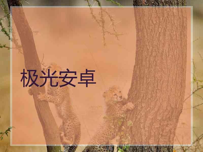 极光安卓